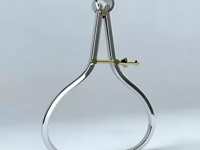 Caliper pair of scissors 3D model