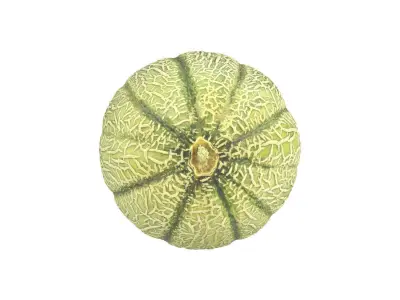 Photorealistic Charentais Melon 3D Scan 3D model