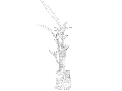 Owl Bamboo Plant Low-poly 3D model