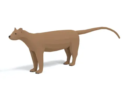 Low Poly Cartoon Fossa Low-poly 3D model