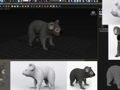 3D KOALA BEAR Low-poly 3D model