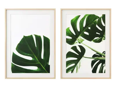 Monstera leaves gallery wall 3D model