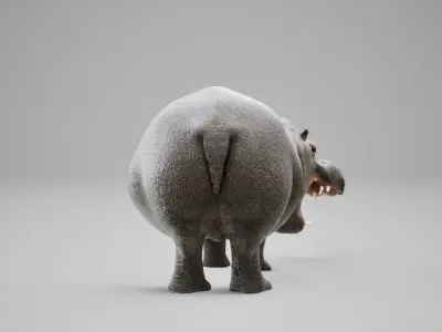 Hippopotamus Rig UNREAL project  Maya base rig 3D model