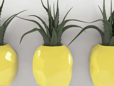 Pineapple flower set  Free 3D model