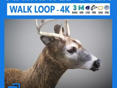Animated Deer 3D model