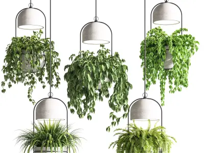 Indoor Plants Hanging Pot Concrete Vase 02 3D model
