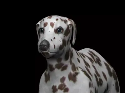 Brown Dalmatian Dog Low-poly 3D model