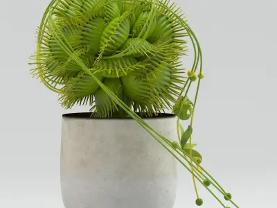 Vase 29 flycatcher flower Dionaea 3D model