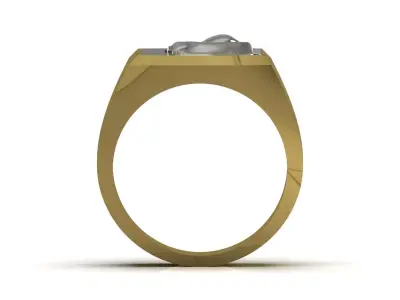 Square Signet Ring with Raised Puma Panther Motif mr0307 3D print model