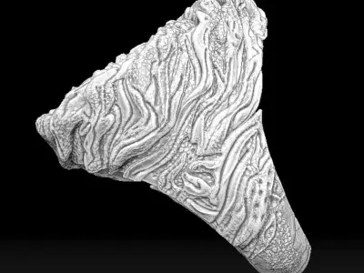 Vortex Ring 3D print model