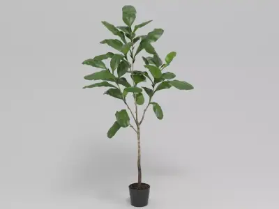 Faux Fiddle Leaf Fig Tree 7 3D model
