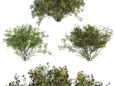 3 bushes 3D model
