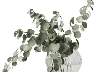 Eucalyptus bouquet 3D model