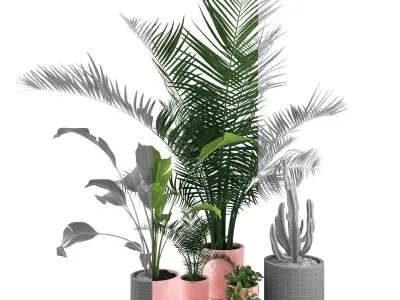plants 08 3D model