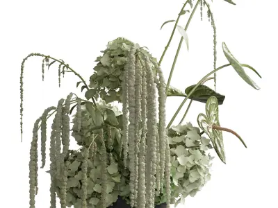 Flower In Vase 83 3D model