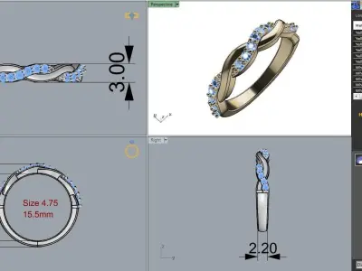 Alliance Braided ring 3D print model