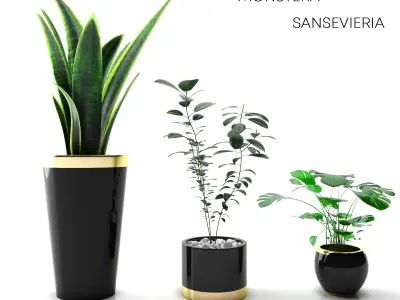 plant collection set 01 3D model