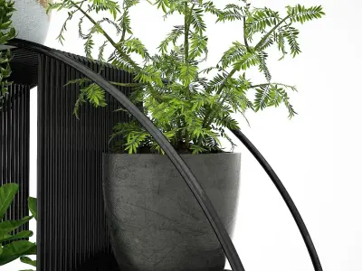 Realistic plants in pots  3D model