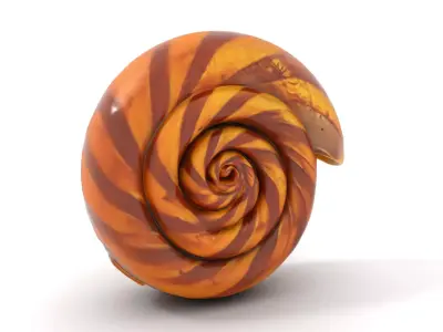 Spiral Shell Wooden model pack Low-poly 3D model