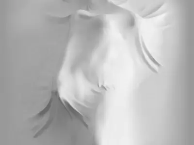 Bas relief Woman on the Wall 3D model