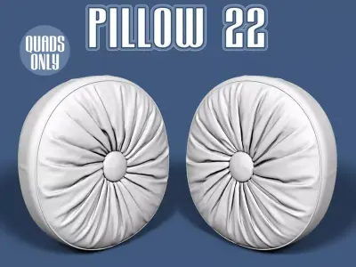 Pillow 22 3D model