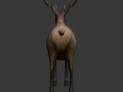 ELK  deer 3D model Low-poly 3D model