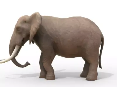 Animated African Elephant Low-poly 3D model
