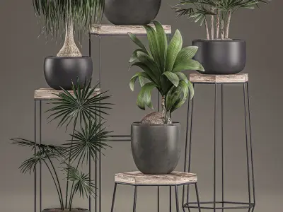 Plants in pots on a stand for the interior 525 3D model