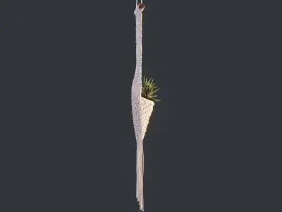 Macrame with Succulent Plant 3D model