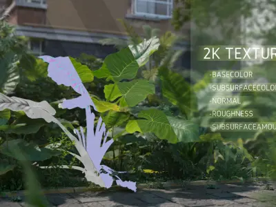 3D Taro Collection plants in garden near building Low-poly 3D model