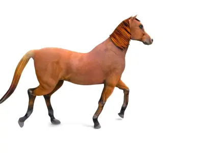Red Horse Animated Low-poly 3D model