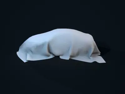 Car Covered Low-poly 3D model