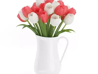 Red and White Tulips 3D model