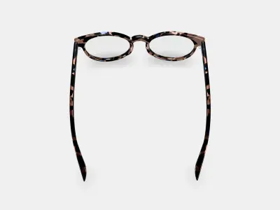 Leila Eyeglasses in Smoky Pearl Tortoise 3D model