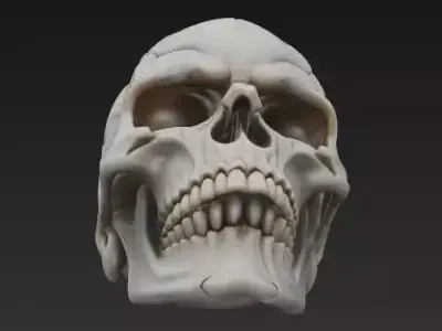 Fantasy-Realistic Skull 3D Models Collection -Busts Sculptures