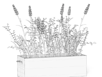 Flowers 3D Model in Wooden Box 3D model