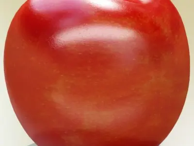 Photorealistic Cherries High Res 3D model