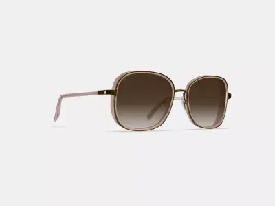 Fernanda Sunglasses in Antique Rose with Polished Gold 3D model