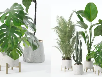 Plants collection 122 3D model