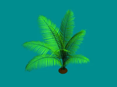 Low Poly Palm Plant - Tropical Decor Model Low-poly 3D model
