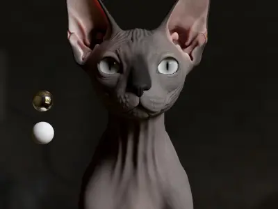 Sphynx Cat  3D model