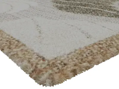 Rug Set 1776 3D model