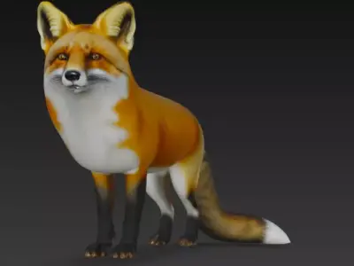 3D Fox Model 3D model