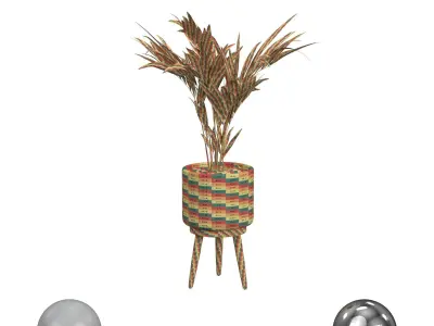 Decorative Palm in a Basket 3D model