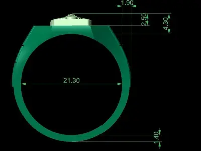 Indian Ashoka Ring 3D print model