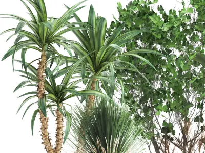 Houseplants in a flowerpot for the interior 1016 3D model