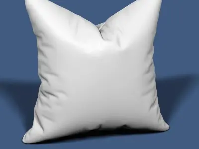 Pillow 57 3D model