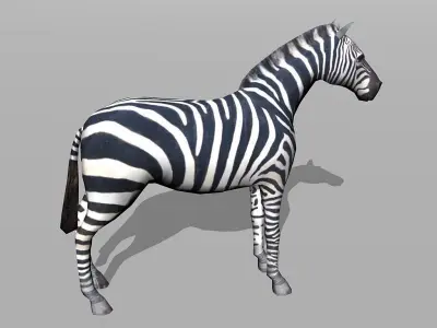 zebra Low-poly 3D model