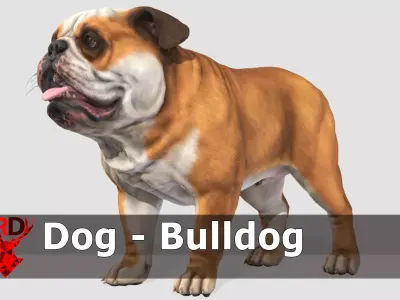Dog - Bulldog Low-poly 3D model