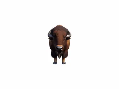 European American Wild Bison Buffalo High Render 3D model